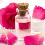 �A���R��/From Plant�C���[�W