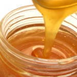 �����R��/From Animal�C���[�W